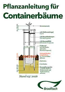 Pflanzanleitung für Containerbäume